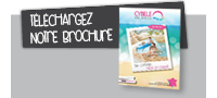 Téléchargez notre brochure 2017